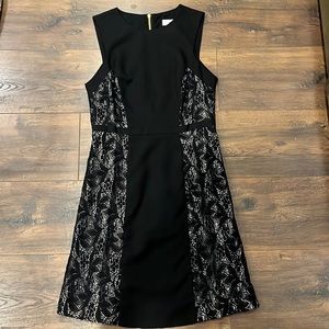 Adrianna Papell Black Dress